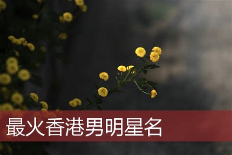 最火香港男明星名_姓名知识_安康起名网免费取名