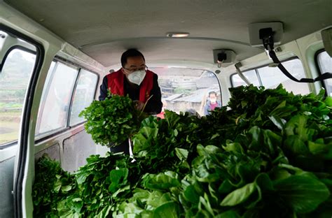 新鲜健康蔬菜集图片-大量的蔬菜素材-高清图片-摄影照片-寻图免费打包下载