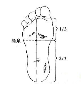 跖屈和背伸的图图片