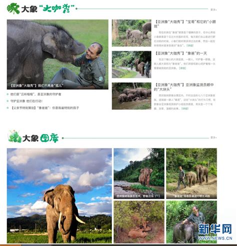 “大象频道”8月8日正式上线_云南省林业和草原局