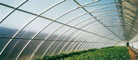 智能温室生产中如何调节温室湿度-新闻中心-山东柏科阿姆农业科技股份有限公司
