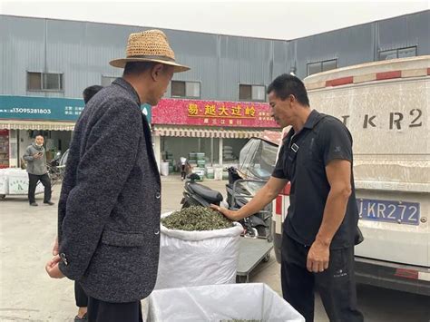 普洱市茶咖发展中心携手企业直播助农 带货普洱茶咖_行业动态_天下普洱_云南网