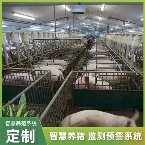 我国养猪业的现状、未来发展趋势及存在的主要问题与对策（下）_腾讯视频