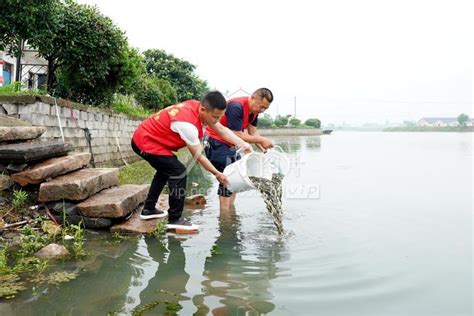 浙江湖州：增殖放流 净化水质-人民图片网