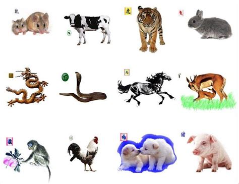 牛羊猪马四种动物的可爱卡通矢量图案设计素材免费下载_卡通人物AI_图片114