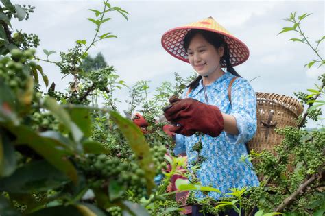 “悲情才俊”刘波：34岁出轨许晴，40岁逃往日本，53岁客死他乡|刘波|许晴|诚成_新浪新闻