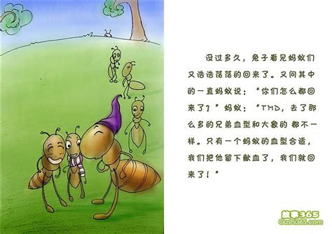 蚂蚁绊大象 - 开心时刻 - 故事365