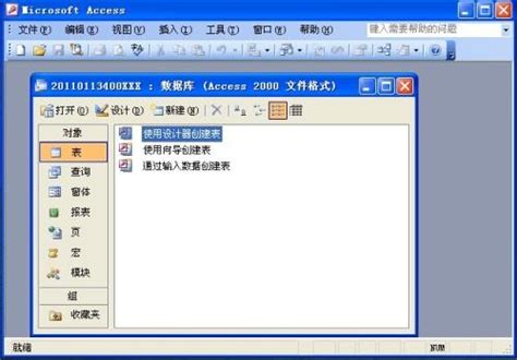 【Access2003特别版下载】Access2003完整版 绿色中文版-开心电玩