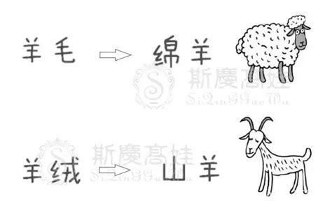 左边一个羊右边一个经过的经一半什么字