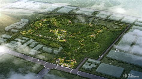 黄岛区山头公园绿化工程 - 业绩 - 华汇城市建设服务平台