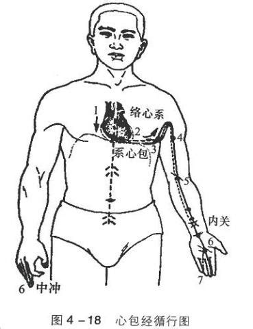 心包经疏理方法及功效(多图)_经络疏理_顾我复我网