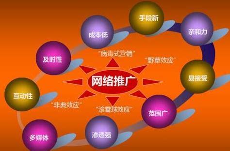深圳中小企业如何通过建企业网站来推广自己的品牌？_金柚互联