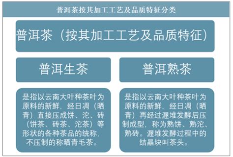 2020-2026年中国普洱茶行业投资潜力分析及市场规模预测报告_智研咨询_产业信息网