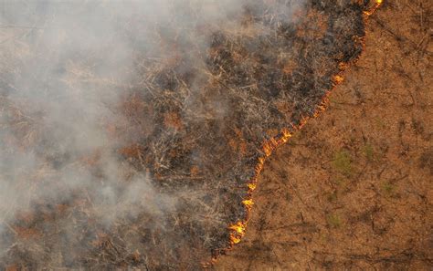 俄外贝加尔边疆区近4000公顷的森林发生火灾 - 2018年6月15日, 俄罗斯卫星通讯社