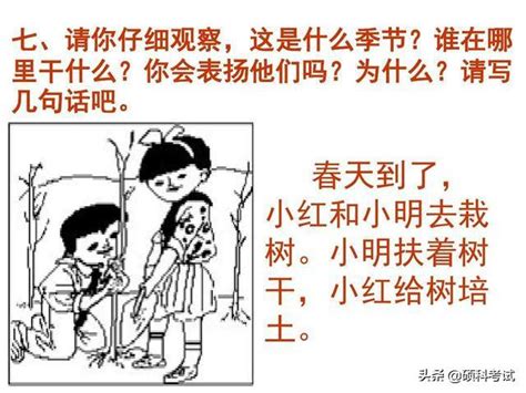 卡通手绘树林捉迷藏的小孩免抠PNG图片素材下载_卡通PNG_熊猫办公