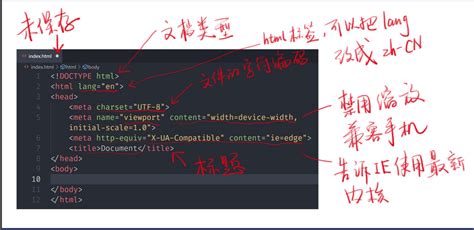 HTML基础教程（非常详细）从零基础入门到精通，看完这一篇就够了。_html零基础入门教程-CSDN博客