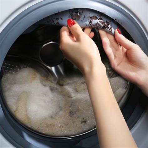 你知道你家洗衣机有多脏吗？定期用点它，清除隐藏污垢！|洗衣机|污垢|你家_新浪新闻