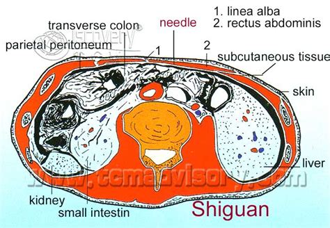 石关_Shiguan(KI18)穴位的位置与功能详解