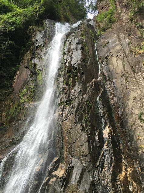 姑婆山门票,姑婆山门票预订,姑婆山门票价格,去哪儿网门票