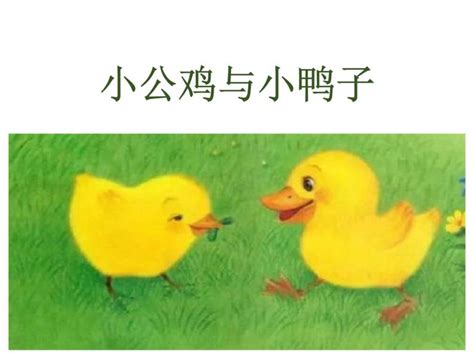 0519-002一年级语文-绘本阅读《鸭子，鹅》