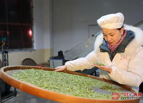 石塘镇中心小学将茶文化植入拓展课程-云和新闻网