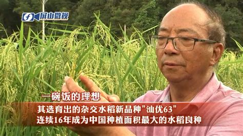 袁隆平的南优2号水稻育种成功，罗孝和激动地说：我不是草包学士_杂交