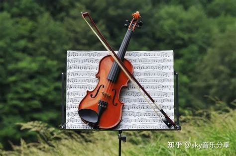 小提琴10级需要学多久_小提琴业余十级相当于专业几级 - 随意云