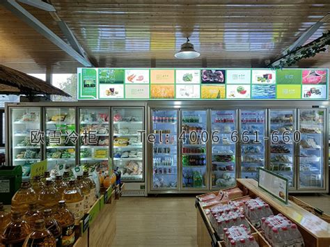 冷柜-广西南宁哪里有卖食品冷藏冷冻冰柜？-【欧雪冷柜】
