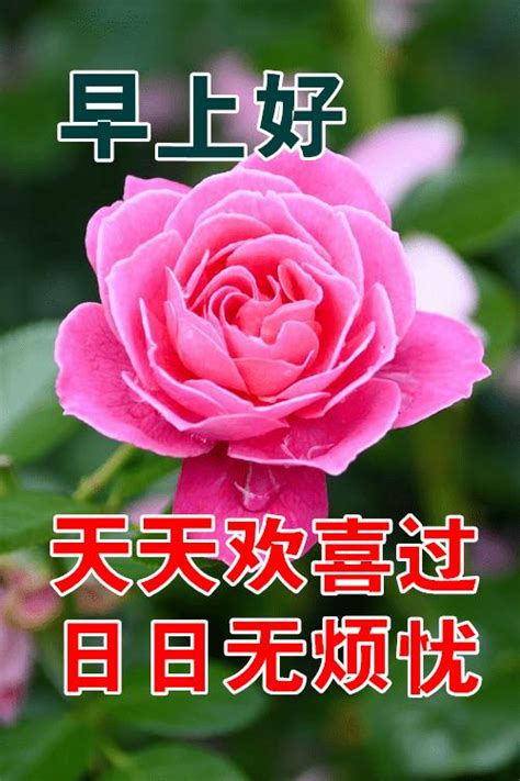 大年初六清新漂亮早上好图片带字带祝福语 大年初六早安问候祝福语图片带字精选|大年|初六-滚动读报-川北在线