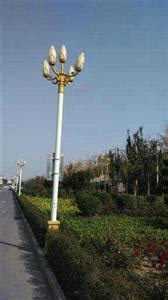 玉树藏族自治州称多县景观玉兰灯生产厂家LED路灯杆制造商定制全套价格出售-一步电子网