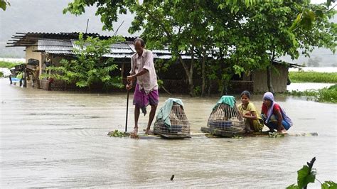 印度阿萨姆邦洪水致102人死亡 540万人受灾 印度阿萨姆邦灾害