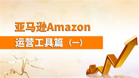 亚马逊代运营_Amazon代运营_跨境电商代运营-南京大迈网络科技有限公司