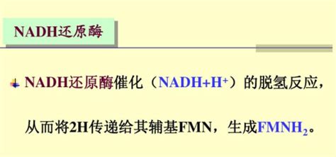 新品 | NAD/NADH和NADP/NADPH比例荧光检测试剂盒