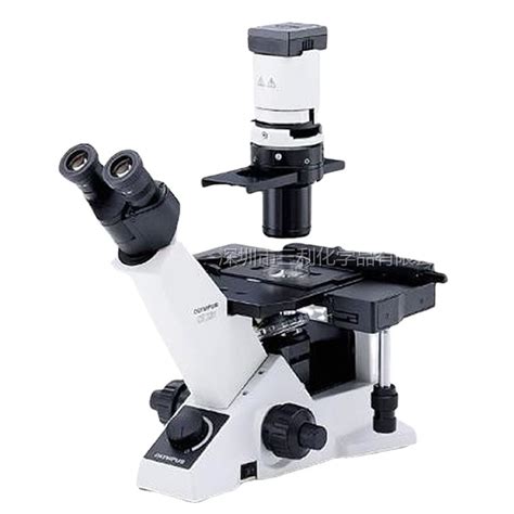 OLYMPUS奥林巴斯倒置显微镜 CKX31级双目生物显微镜-阿里巴巴