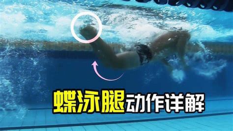 学游泳视频教程初学者_搜狗指南