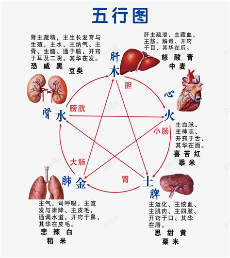 五行相生相克设计图__医疗保健_生活百科_设计图库_昵图网nipic.com