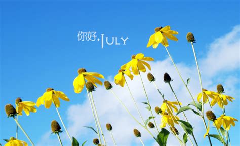 七月十四号是什么日子_农历7月14鬼节的由来 - 工作号