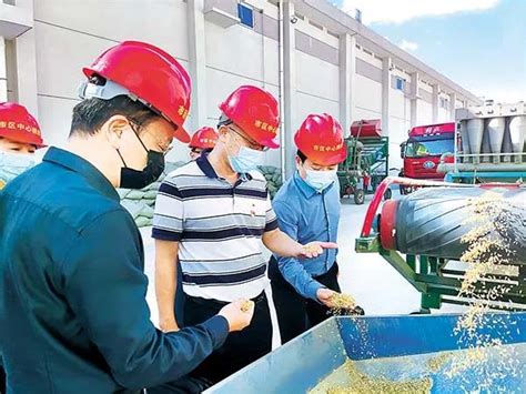 黑龙江稻米市场周报（0311-0317）-通辽粮食行业商会