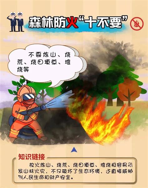 绿色简约大森林防火森林消防海报图片下载 - 觅知网