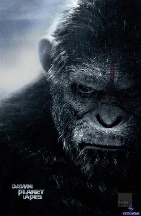 【首映预售】《猩球崛起3》特效逆天，引爆人猿大战！