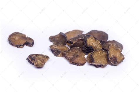 生附子大全图片