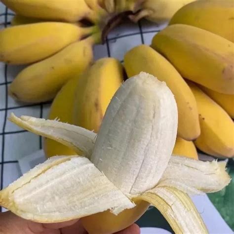 科普香蕉吃多了会怎么样_中华康网