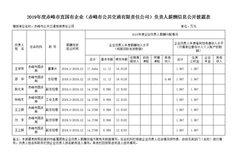 2019年度赤峰市公共交通有限责任公司负责人薪酬信息公开披露表 - 政务公开 - 赤峰市公共交通有限责任公司