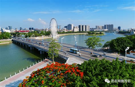 中国国际热作产业大会将于5月20日在广东茂名召开-新华网