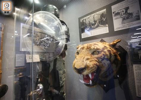 野生老虎曾出没香港 1915年咬死两名警察 - 神秘的地球 科学|自然|地理|探索