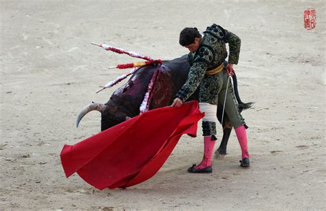 西班牙斗牛节，有多疯狂._腾讯视频