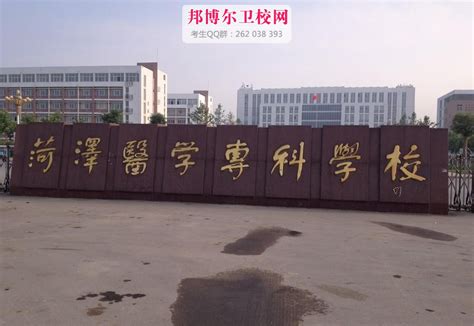 重庆幼儿师范高等专科学校有哪些专业:王牌专业/专业设置及分数线
