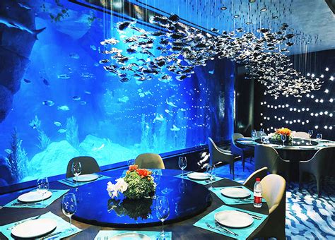 水下主题餐厅水族箱-海底餐厅亚克力鱼-萧昌水族 - 上海萧昌