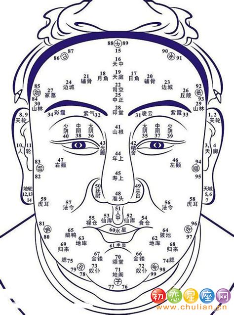 男人痣相图图片