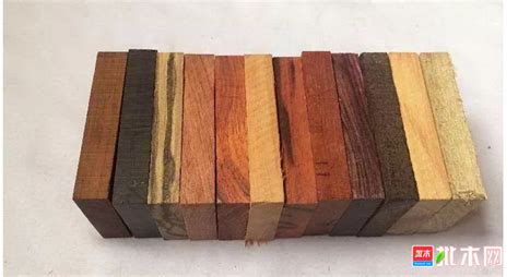 世界上最轻的木头是什么木？最重的木材是什么木？-木匠圈网